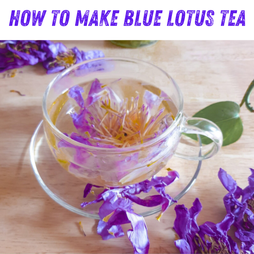 How to Make Blue Lotus Tea