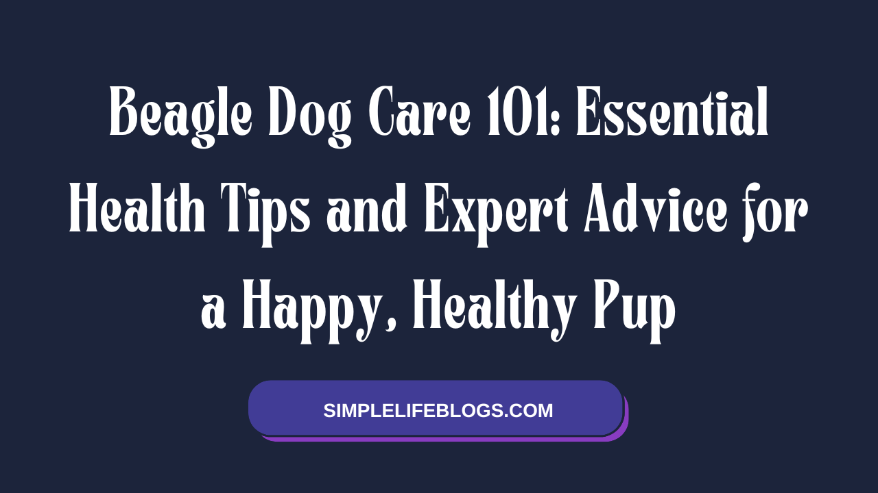 Beagle Dog Care 101 Essential Health Tips and Expert Advice for a Happy, Healthy Pup