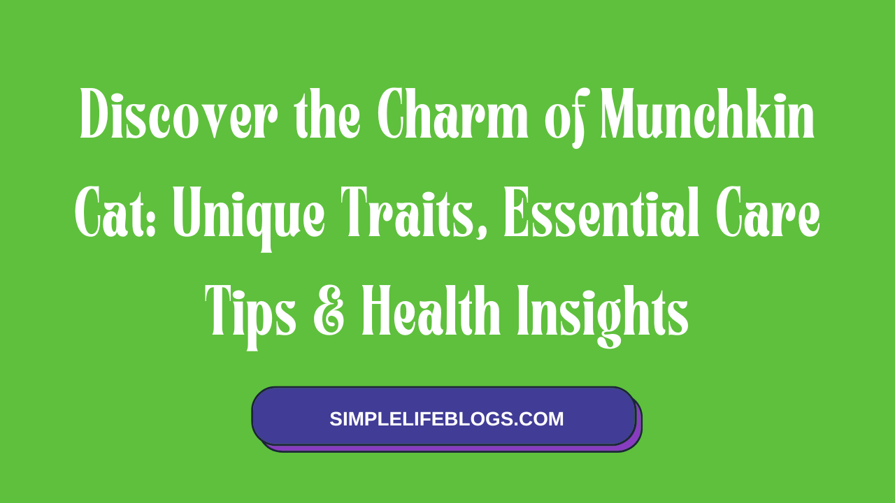 Discover the Charm of Munchkin Cat Unique Traits, Essential Care Tips & Health Insights