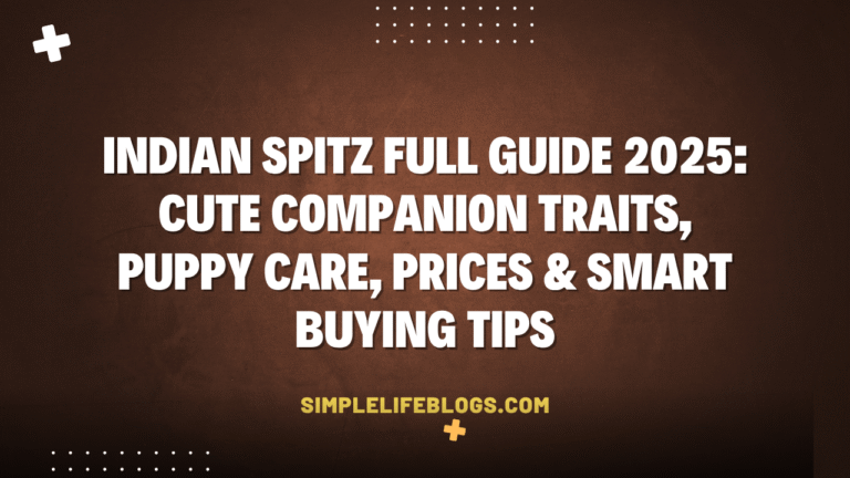 Indian Spitz Full Guide 2025 Cute Companion Traits, Puppy Care, Prices & Smart Buying Tips