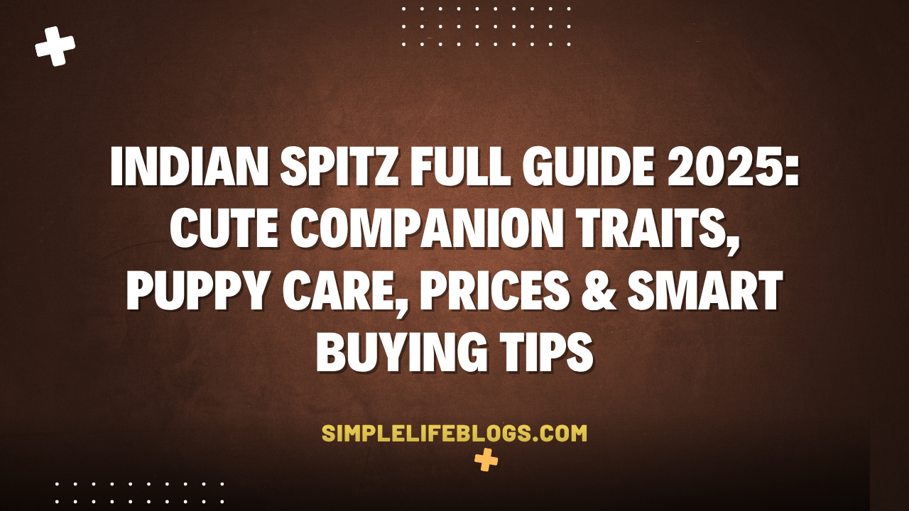 Indian Spitz Full Guide 2025 Cute Companion Traits, Puppy Care, Prices & Smart Buying Tips