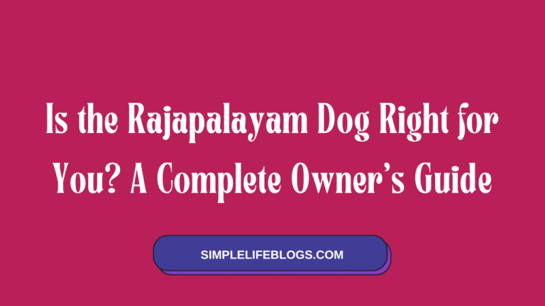 Is the Rajapalayam Dog Right for You A Complete Owner’s Guide