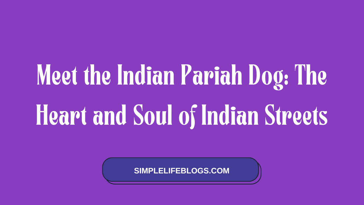 Meet the Indian Pariah Dog The Heart and Soul of Indian Streets