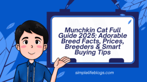 Munchkin Cat Full Guide 2025 Adorable Breed Facts, Prices, Breeders & Smart Buying Tips