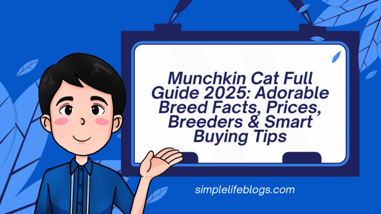Munchkin Cat Full Guide 2025 Adorable Breed Facts, Prices, Breeders & Smart Buying Tips