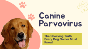 Canine Parvovirus