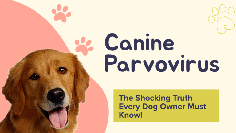Canine Parvovirus