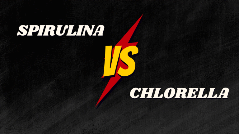 Spirulina vs Chlorella