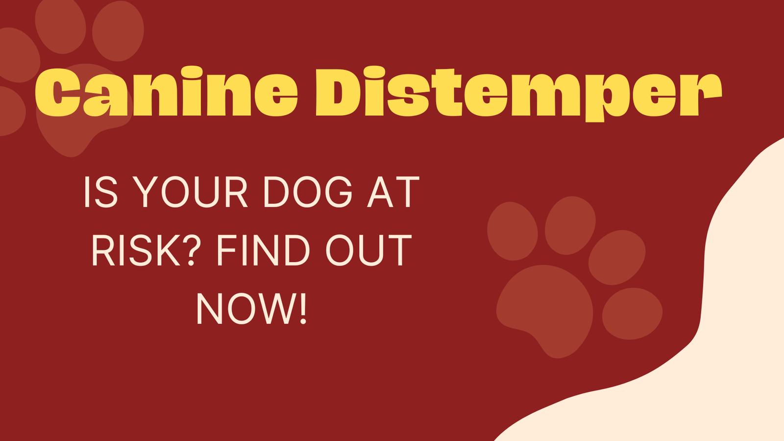 Canine Distemper