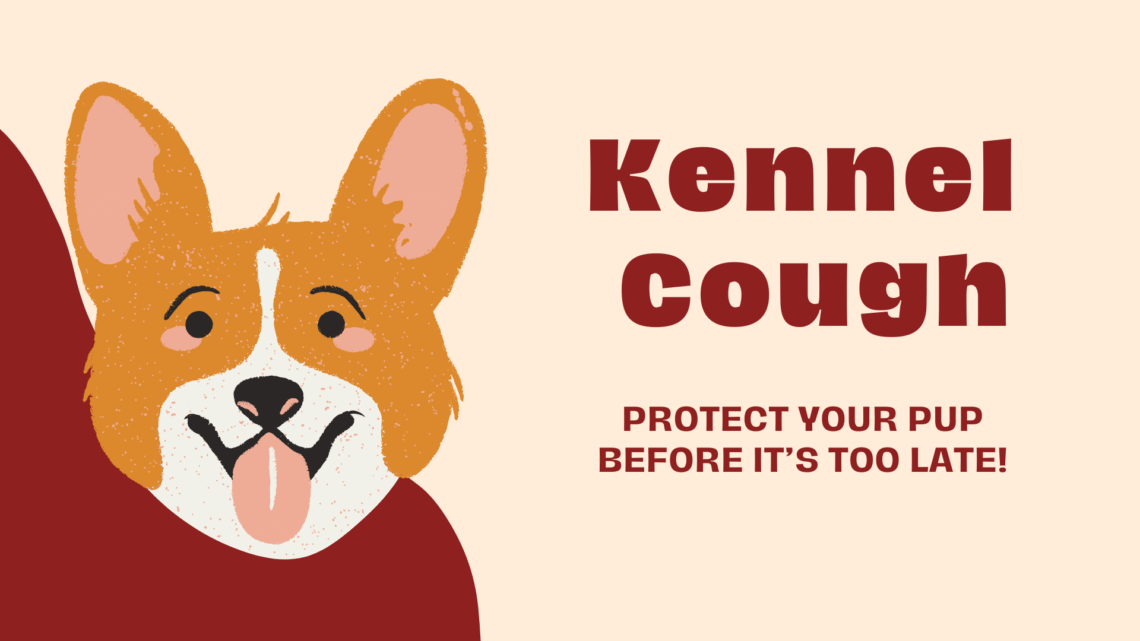 Kennel Cough