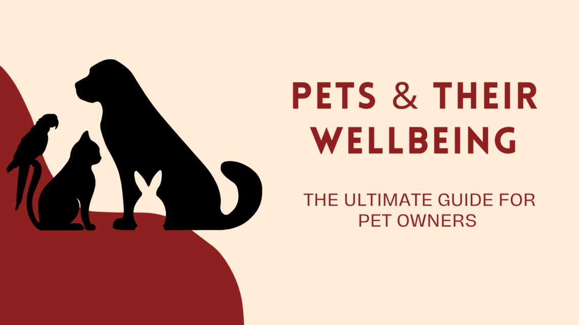 Pets & Their Wellbeing