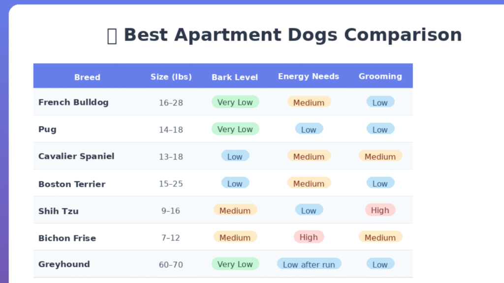 Apartment Dog Breed Comparison Table