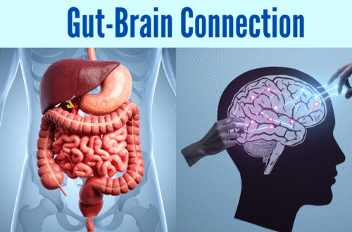 Gut-Brain Connection