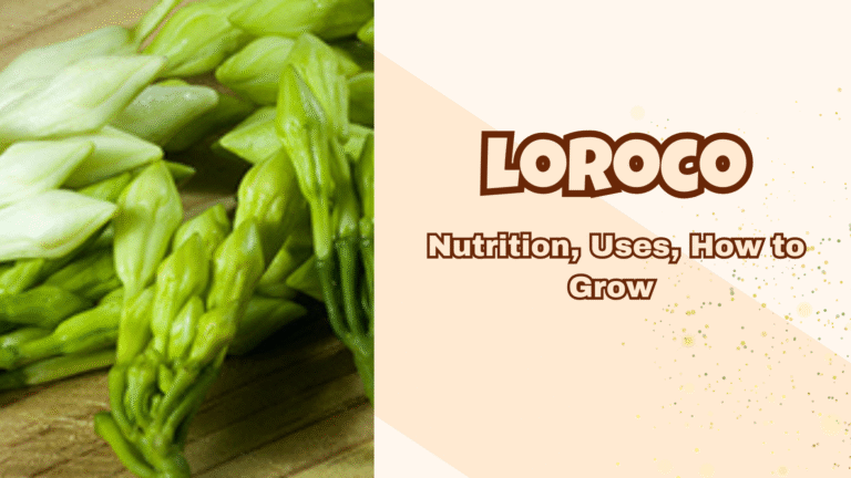 Loroco