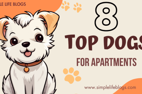 Top Dogs for Apartments