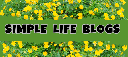 Simple Life Blogs