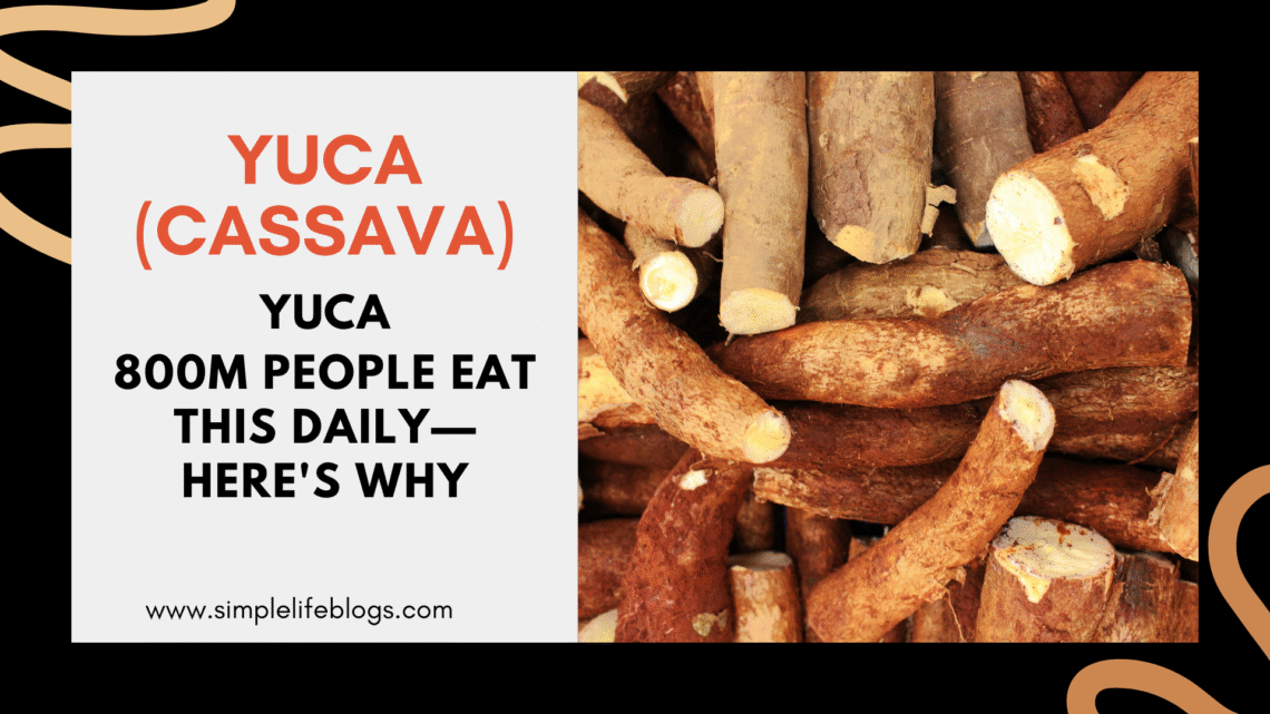 Yuca (Cassava)