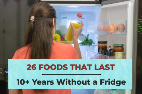 26 Foods That Last 10+ Years Without a Fridge