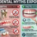 Dental Myths Exposed — What You Were Always Told That Is Not True