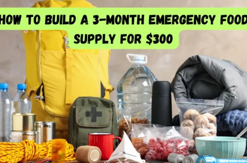 How to Build a 3-Month Emergency Food Supply for $300